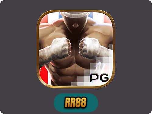Muay Thai Champion