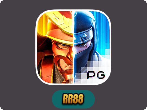 Ninja vs Samurai